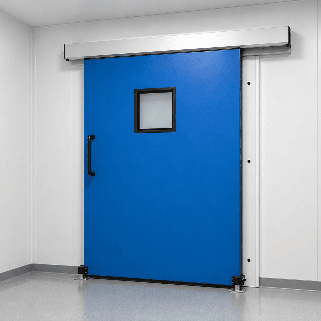 Sliding Clean Room Door